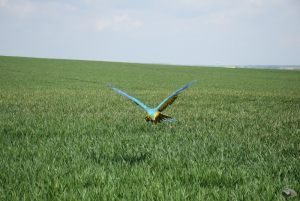 Letani_Kly_2019_04_27-26