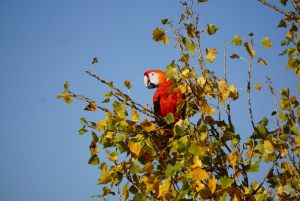 lom_reporyje_20181014_05