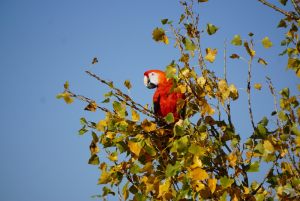 lom_reporyje_20181014_05