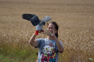 podolanka_20190720_25