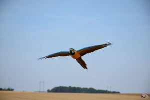 podolanka_20190720_28