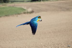 predborice_2018-09-30_12