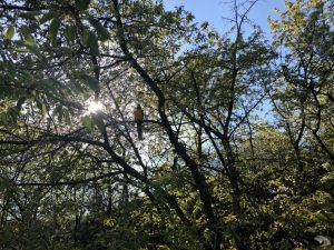 Roklina_2019_04_20-12
