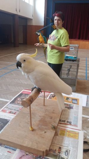 skola_20170504_01