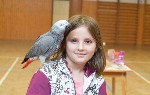 skola_20170504_15