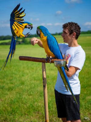 verejne_letani_2018-06_118