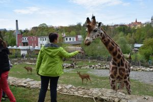 zoo_jihlava_20170508_26