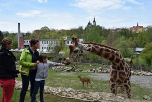 zoo_jihlava_20170508_27