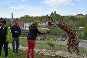 zoo_jihlava_20170508_28