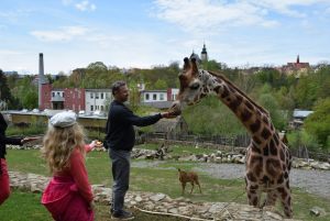 zoo_jihlava_20170508_29