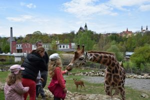 zoo_jihlava_20170508_30