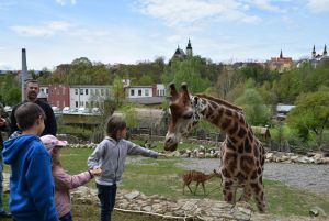 zoo_jihlava_20170508_31