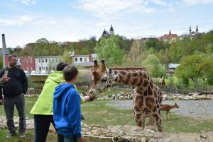 zoo_jihlava_20170508_32