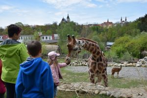 zoo_jihlava_20170508_34