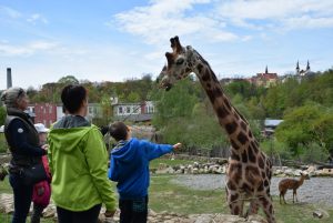 zoo_jihlava_20170508_35