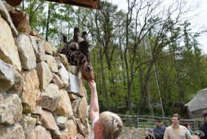 zoo_jihlava_20170508_36