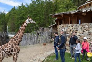 zoo_jihlava_20170508_38