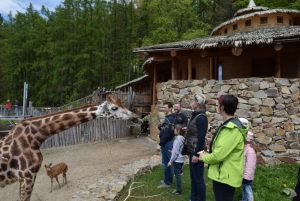 zoo_jihlava_20170508_39