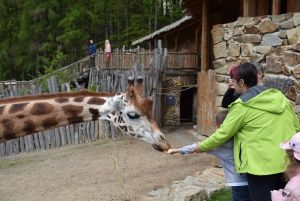 zoo_jihlava_20170508_41