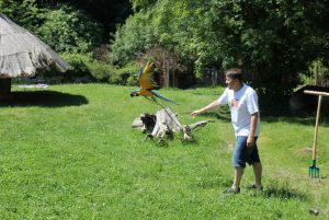 zoo_jihlava_20170603_21